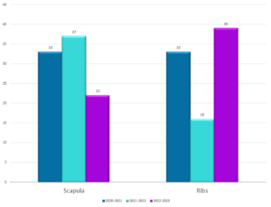 Scapula & Ribs Slide